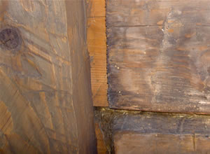 Assemblage montrant des poutres verticales et transversales (2006)